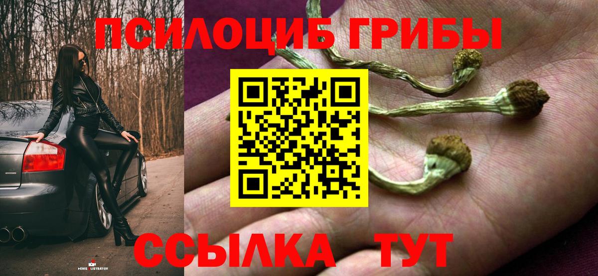 Галлюциногенные грибы Psilocybine cubensis  Вход с VPN  Чапаевск 